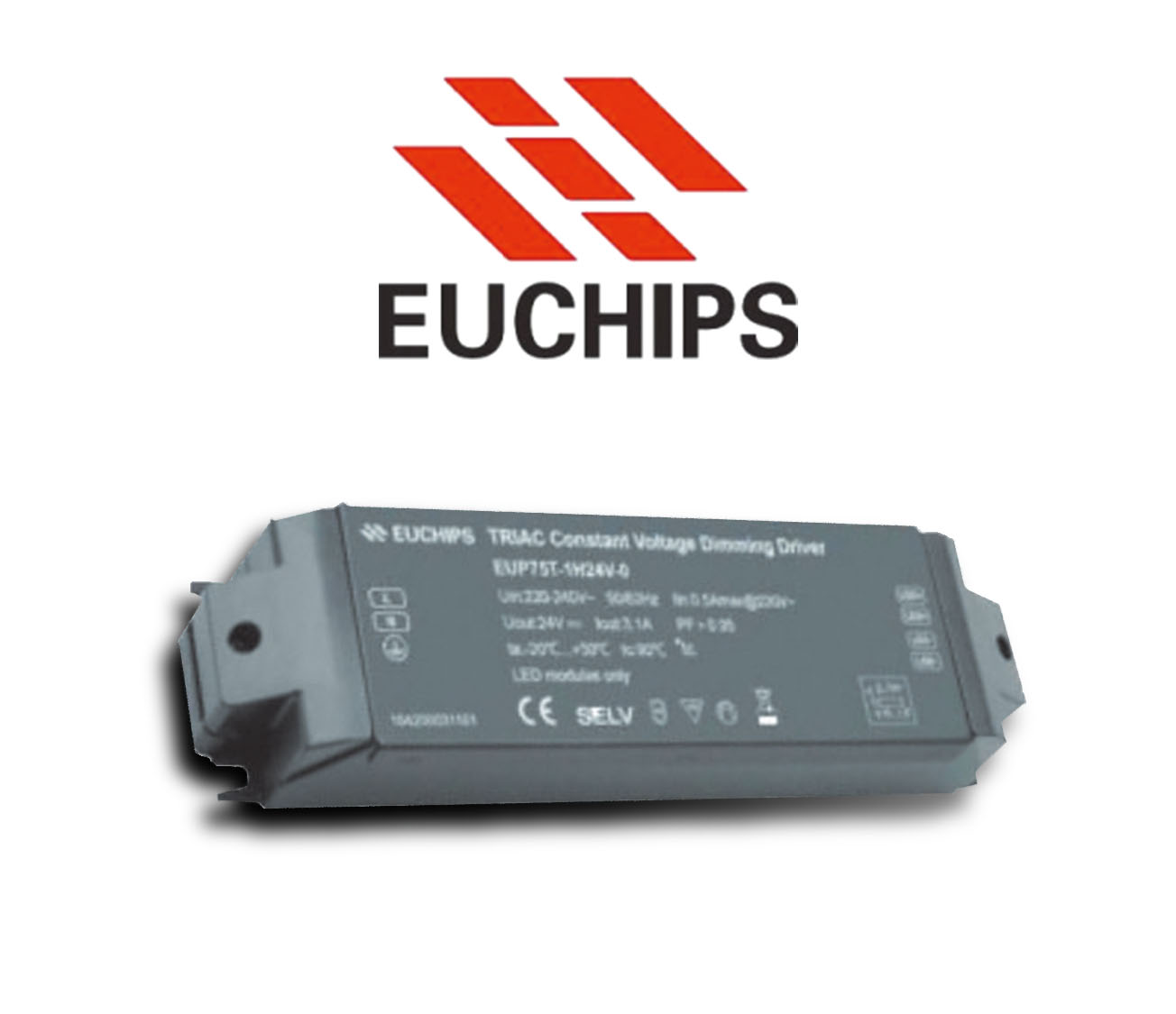 EUCHIPS