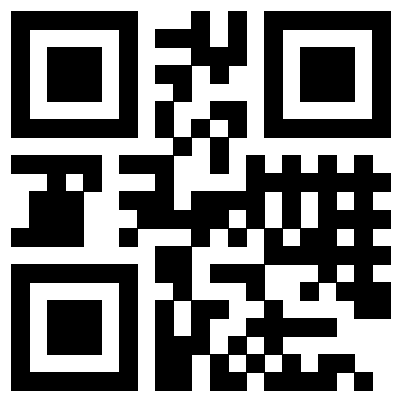 the qr code